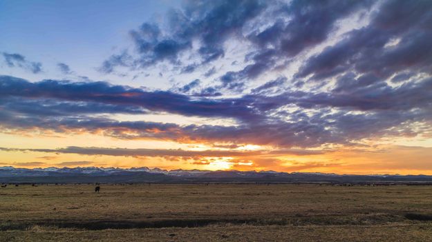 Heavenly Morning Sight. Photo by Dave Bell.