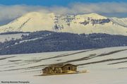 An Old Homestead House. Photo by Dave Bell.