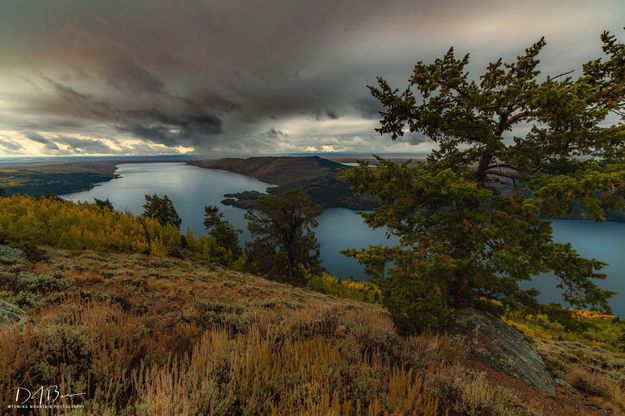 Down The Lake. Photo by Dave Bell.