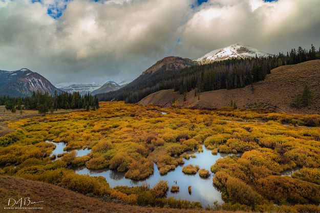 South Cottonwood Valley. Photo by Dave Bell.