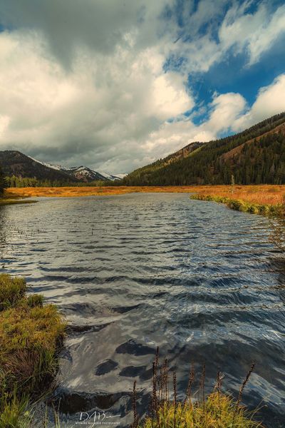 Beautiful Place. Photo by Dave Bell.