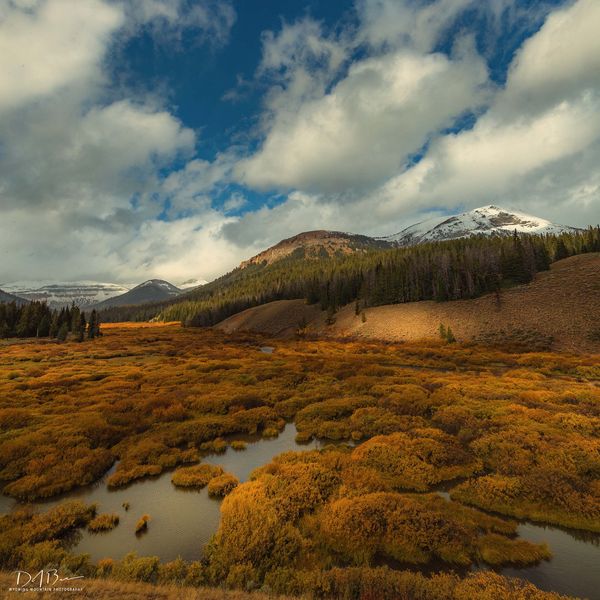 Cottonwood Valley. Photo by Dave Bell.