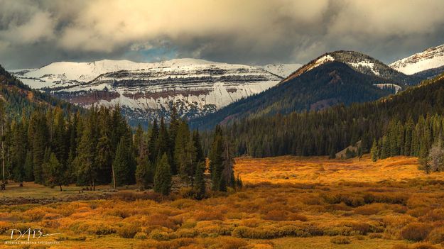 The Cliffs At Cottonwood. Photo by Dave Bell.