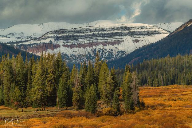 Head Of The Valley. Photo by Dave Bell.