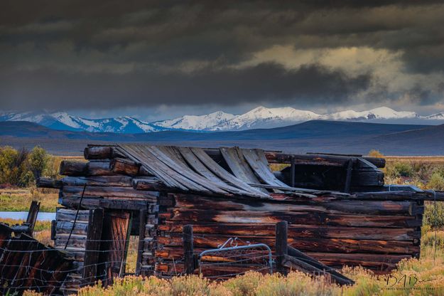 Butch's Place. Photo by Dave Bell.