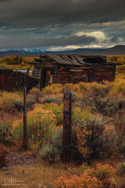 Homestead Buildings. Photo by Dave Bell.