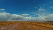 Muddy Morning Rainbow. Photo by Dave Bell.