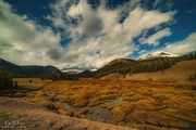 Cottonwood Valley. Photo by Dave Bell.