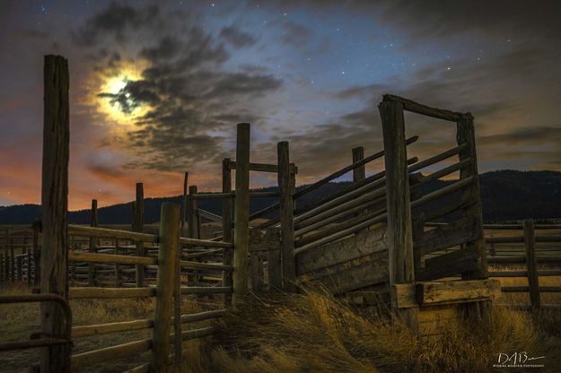 Loading Chute. Photo by Dave Bell.