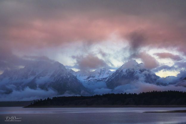 Foggy Morning At Jackson Lake. Photo by Dave Bell.