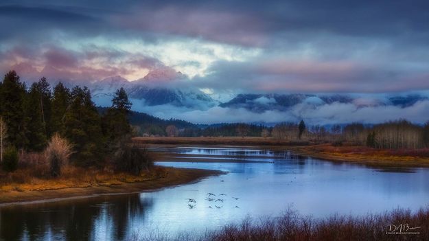 Early Morning Pink. Photo by Dave Bell.