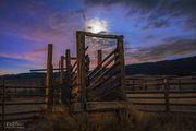 Loading Chute And Corrals. Photo by Dave Bell.