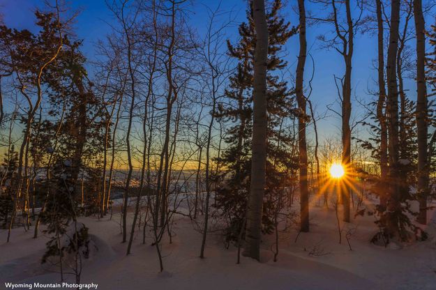 Deep Winter Snow. Photo by Dave Bell.