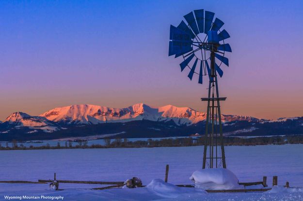 Triple And The Windmill. Photo by Dave Bell.