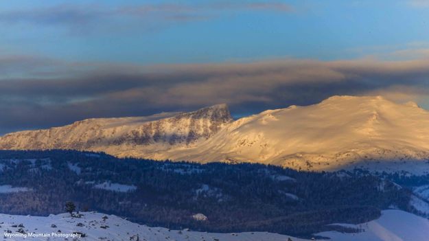 Angel and Baldy. Photo by Dave Bell.