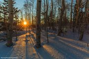 Winter Aspen Light. Photo by Dave Bell.