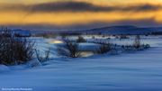 Winter Sunset. Photo by Dave Bell.