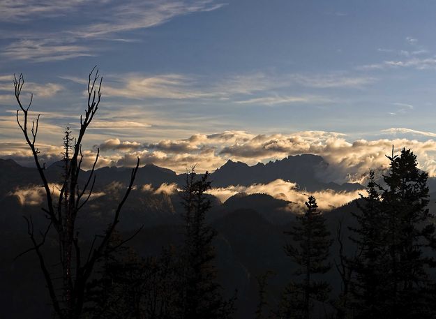 Morning Fog. Photo by Dave Bell.