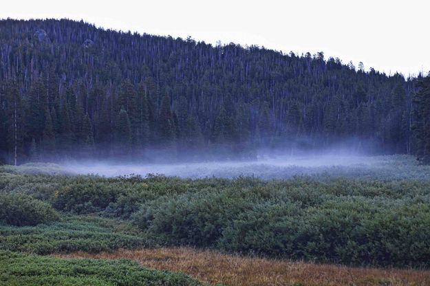 Foggy Bottom. Photo by Dave Bell.