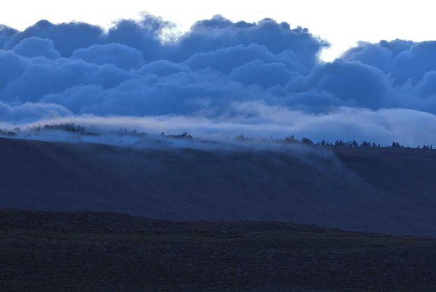 Foggy Half Moon Mountain. Photo by Dave Bell.