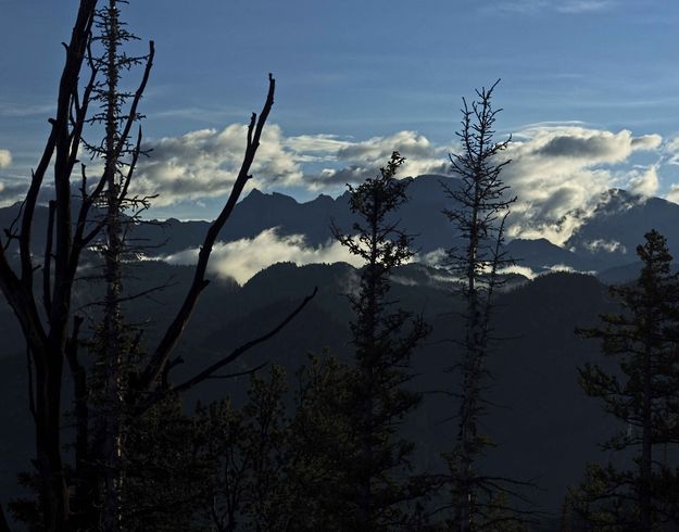 Skyline Silhouette. Photo by Dave Bell.