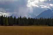 Snow Shower. Photo by Dave Bell.