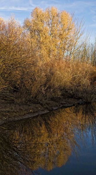 Reflection. Photo by Dave Bell.