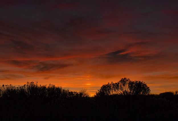 Sunset Color. Photo by Dave Bell.