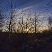 Setting Sun. Photo by Dave Bell.