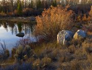 Late Fall Foliage. Photo by Dave Bell.