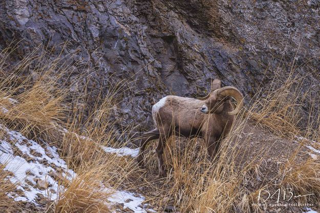 Waiting. Photo by Dave Bell.