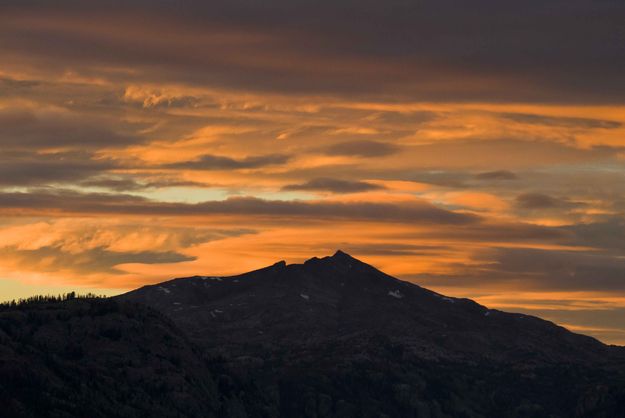 Glover Silhouette. Photo by Dave Bell.