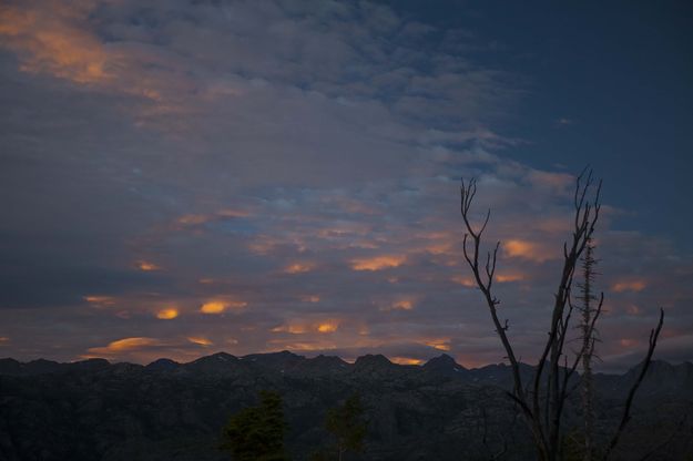 Lighted Tips. Photo by Dave Bell.