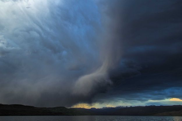 Collapsing Cell. Photo by Dave Bell.