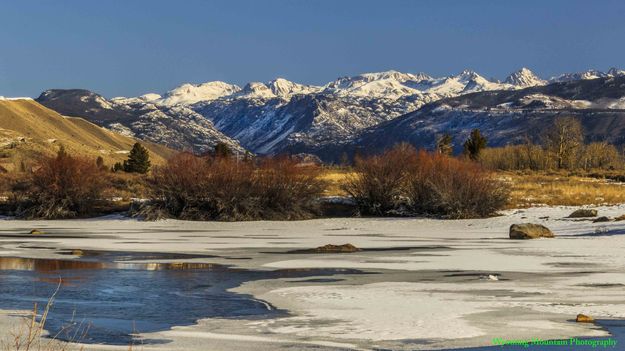 Looks Like Spring. Photo by Dave Bell.