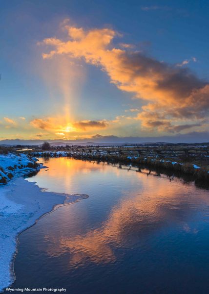 Angel Wing. Photo by Dave Bell.