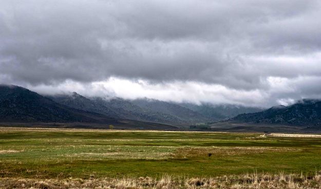 Stormy Towards Muddy Feedground. Photo by Dave Bell.