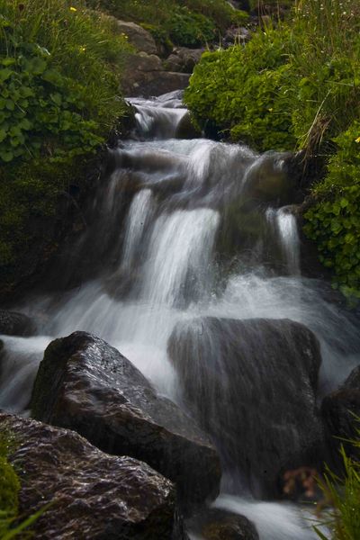 Small Tumbling Stream. Photo by Dave Bell.