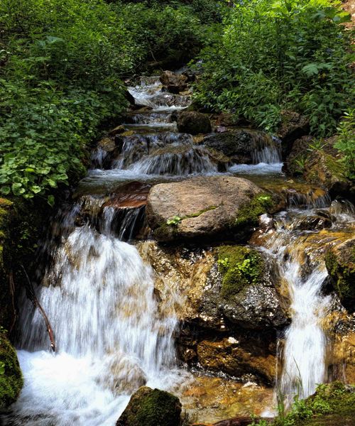 Long Hollow Creek. Photo by Dave Bell.