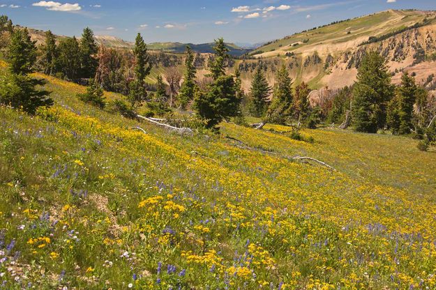 North Slopes. Photo by Dave Bell.