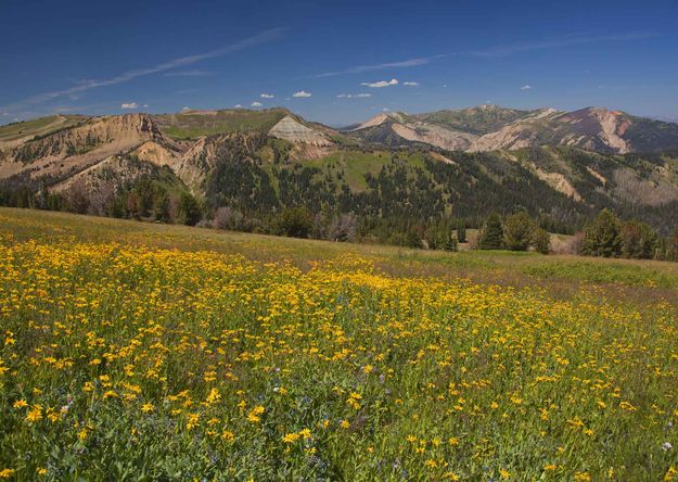 Hoback Peak. Photo by Dave Bell.