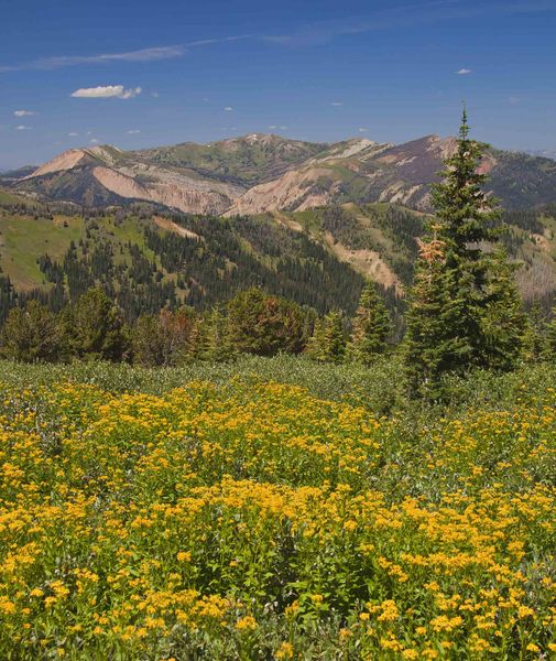 Hoback Peak. Photo by Dave Bell.