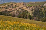 Beautiful Scenery. Photo by Dave Bell.