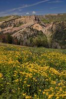 Great Alpine Scenery. Photo by Dave Bell.