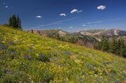 Beautiful Day. Photo by Dave Bell.