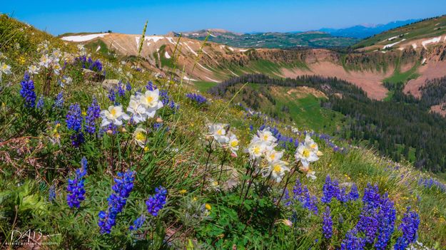 Lookout Mountain North Shoulder. Photo by Dave Bell.