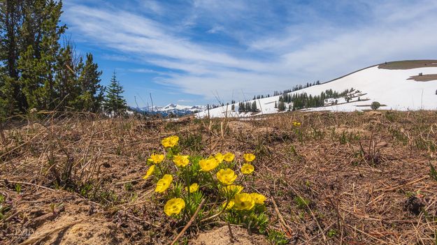 Through The Gap To Mount McDougall. Photo by Dave Bell.