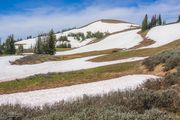 Early Spring On Lookout. Photo by Dave Bell.