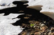 Pointy Snow Fingers--Snow Cave. Photo by Dave Bell.