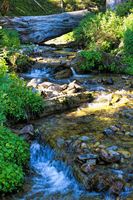 Dry Beaver Creek. Photo by Dave Bell.